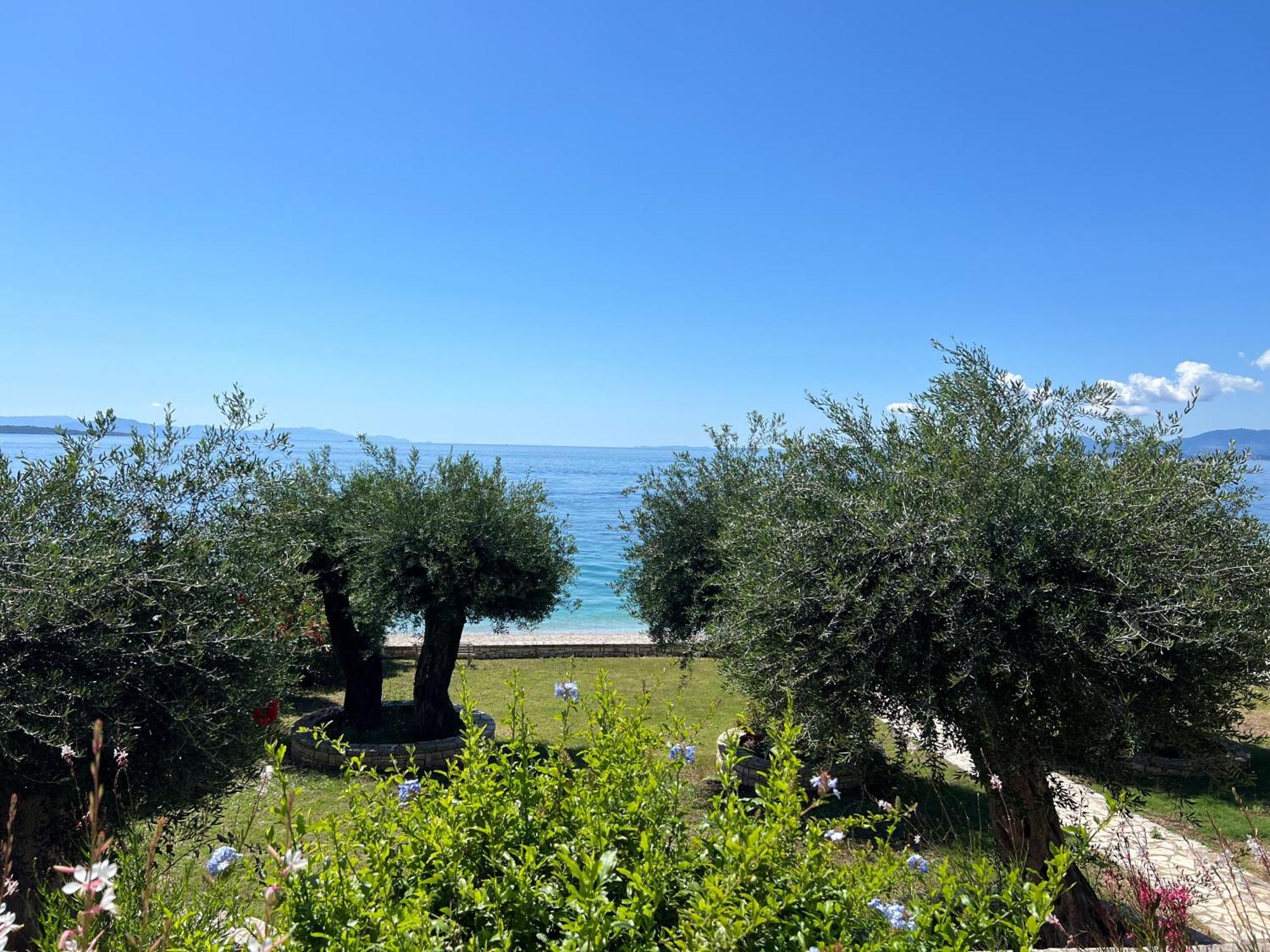 Nissaki Bay Daire Nisaki  Dış mekan fotoğraf